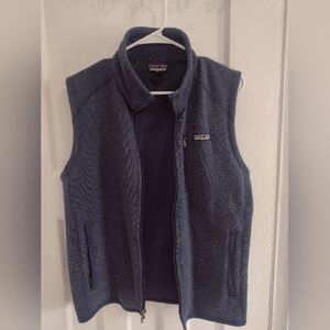 Patagonia Men's Blue Fleece Vest